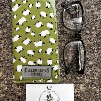 Peek A Boo Glasses Case